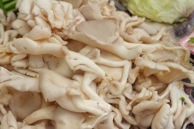 Mantar bir sepet Market içinde