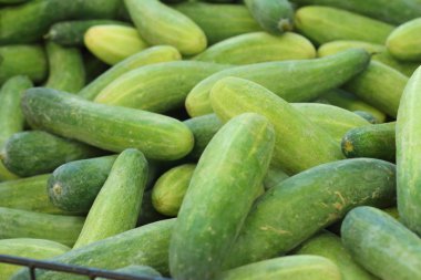 Piyasada masada taze salatalık