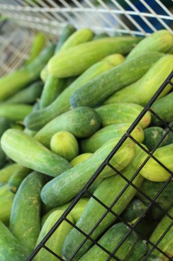 Piyasada masada taze salatalık