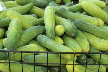 Piyasada masada taze salatalık