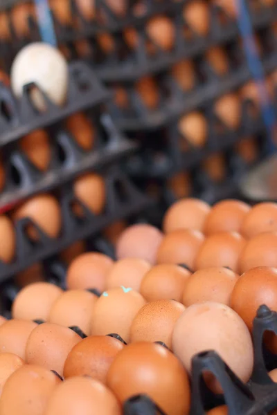 Ovos em uma bandeja no mercado — Fotografia de Stock