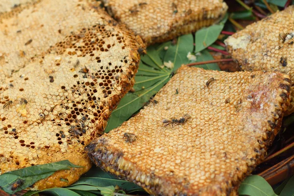 Panal de abeja en una hoja de plátano en el mercado — Foto de Stock