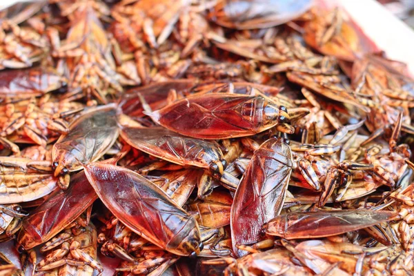 Nahaufnahme von Insekten auf dem Markt — Stockfoto