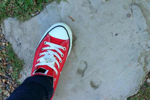 Взуття червоне на падінні в парку . — стокове фото