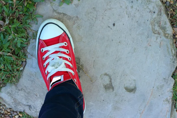 Взуття червоне на падінні в парку . — стокове фото