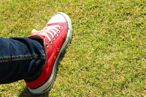 Взуття червоне на зеленій траві в парку . — стокове фото