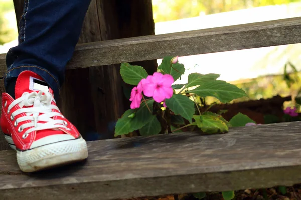 Sit back and relax on holiday at the park — Stock Photo, Image