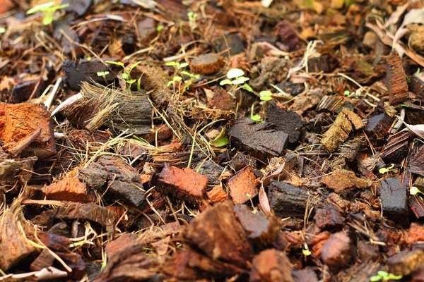 Bakgrund av torr mark i naturen — Stockfoto