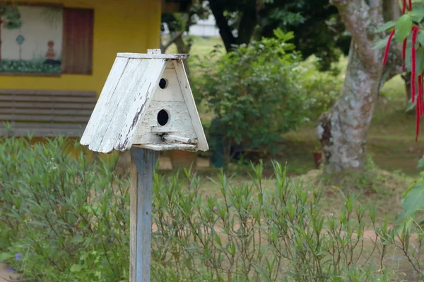 公園で草背景に鳥篭 — ストック写真