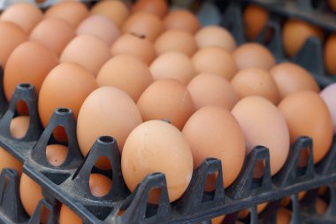 Piyasada bir tepsi üzerinde yumurta