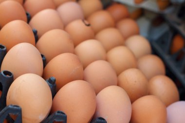 Piyasada bir tepsi üzerinde yumurta