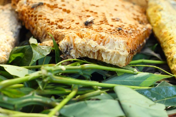 Honungskaka på ett bananblad på marknaden — Stockfoto