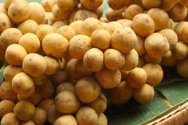 Wollongong piyasada yeşil zemin üzerine.