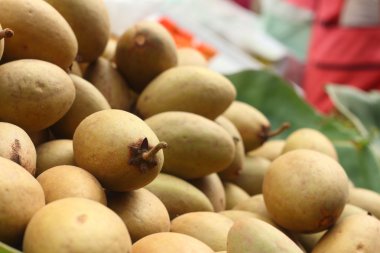 arka planda sapodilla meyve kazık