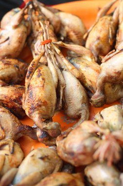 Ölü kuş bir pazarda bağlanma aralığına