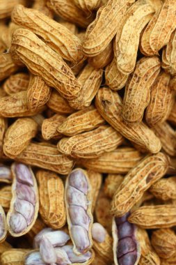 Piyasada tepsisinde haşlanmış fıstık