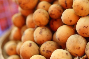 Wollongong piyasada masada.