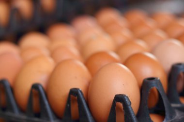 Piyasada bir tepsi üzerinde yumurta