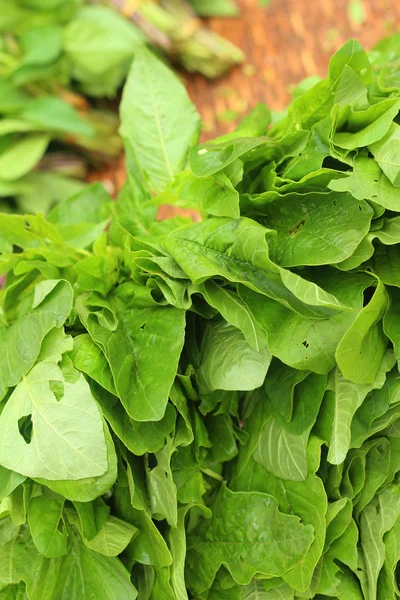 Зеленые овощи в корзине на рынке — стоковое фото
