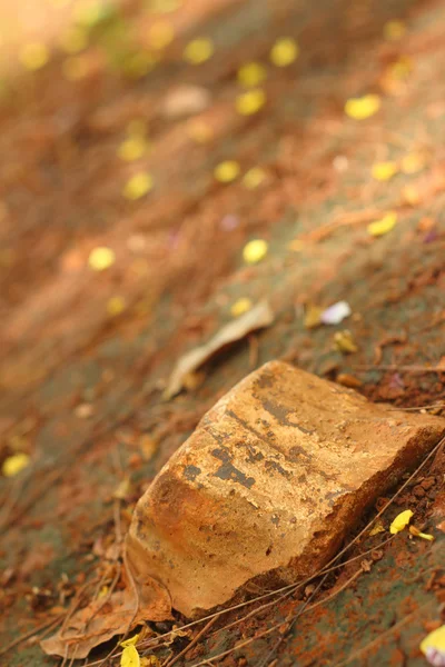 Piedra sobre el fondo del suelo en el parque — Foto de Stock