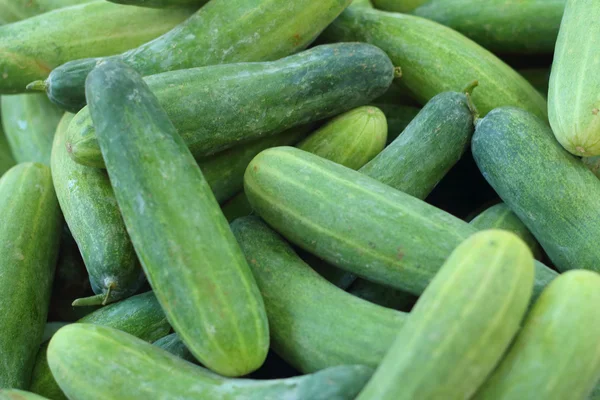 stock image Fresh cucumbers on the table at the market