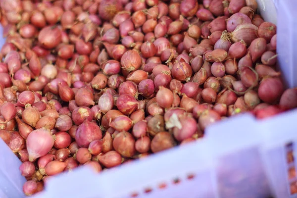 Szalotka - Azja czerwony cebuli na rynku — Zdjęcie stockowe