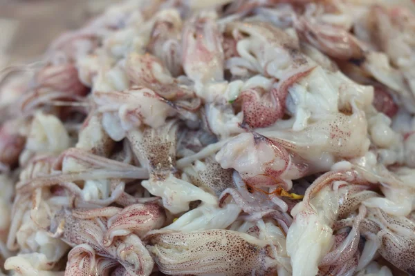 Calamari freschi su un vassoio nel mercato — Foto Stock