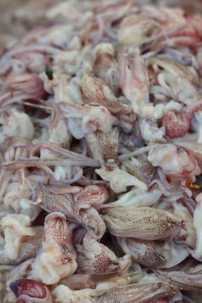 Calamari freschi su un vassoio nel mercato — Foto Stock