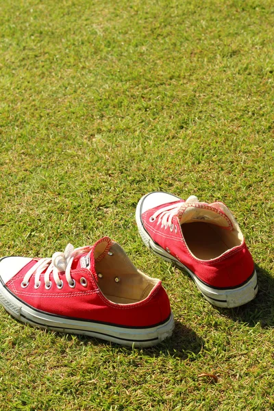 Parkta yeşil çimenlerin üzerinde kırmızı ayakkabılar. — Stok fotoğraf