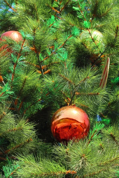 Cajas de regalo colgadas en el árbol de Navidad . —  Fotos de Stock