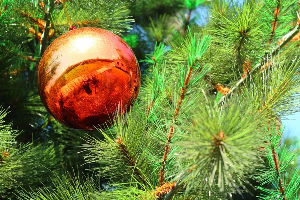 Caixas de presente penduradas na árvore de Natal . — Fotografia de Stock