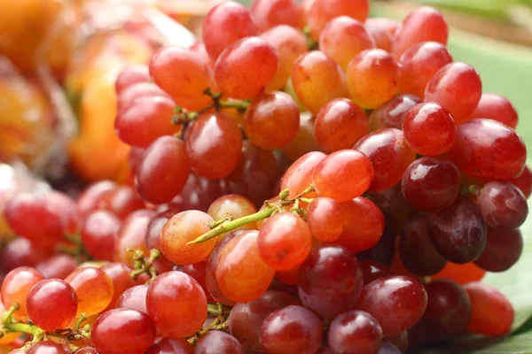 Taze meyve üzüm piyasada kapatın.