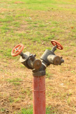 Yeşil çimenlerin üzerinde bir su boruları