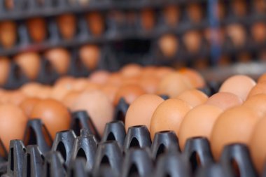 Piyasada bir tepsi üzerinde yumurta