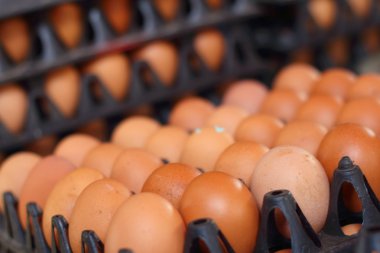 Piyasada bir tepsi üzerinde yumurta