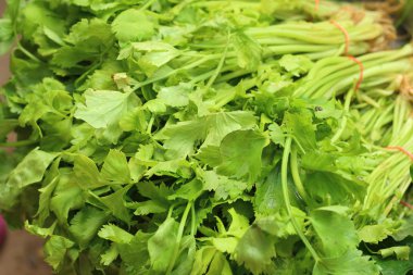 Piyasada bir sepet içinde yeşil taze fesleğen