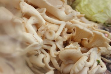 Mantar bir sepet Market içinde