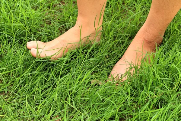 Foot on the green grass in the lawn. — Stock Photo, Image