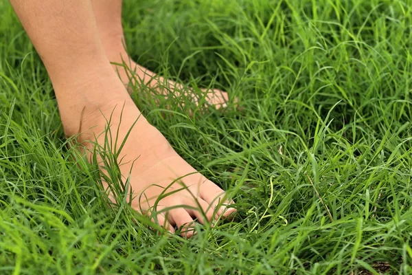 Нога на зеленой траве на газоне . — стоковое фото