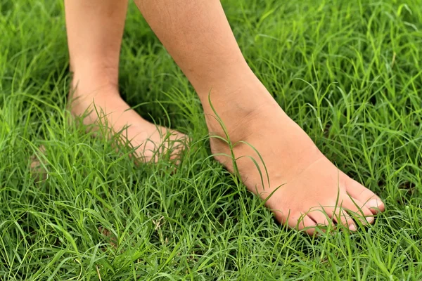 Ayak çim yeşil çimenlerin üzerinde.