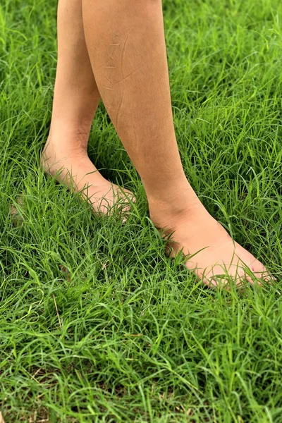 Foot on the green grass in the lawn. — Stock Photo, Image