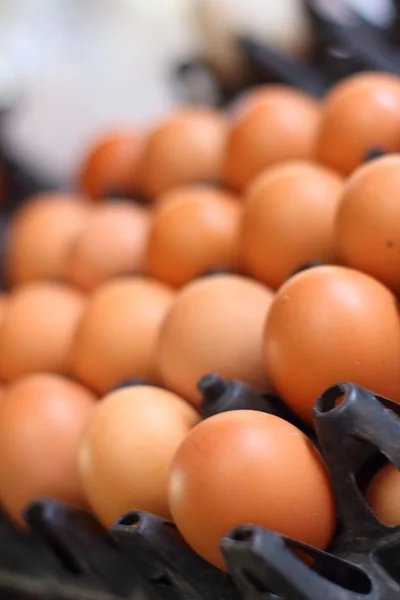 Eggs on a tray on the market — Stock Photo, Image