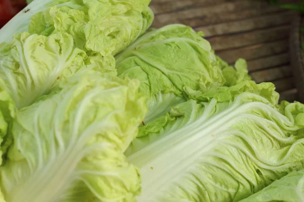 Piyasada bir masada taze Beyaz lahana.