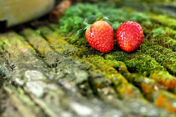 Strawberry on wooden background in a garden. — Stock Photo, Image