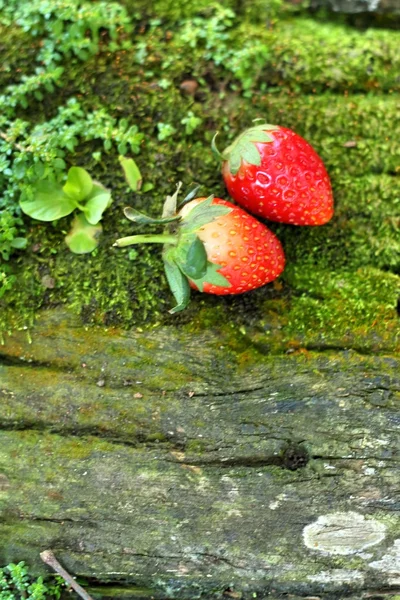 Strawberry on wooden background in a garden. — Stock Photo, Image