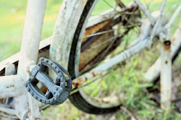 Rueda de bicicleta vieja sobre un fondo verde . — Foto de Stock