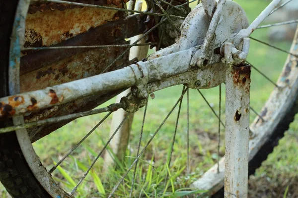 Старое велосипедное колесо на зеленом фоне . — стоковое фото
