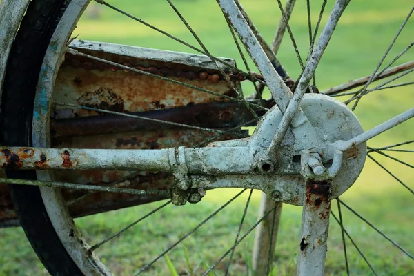 Velha roda de bicicleta em um fundo verde . — Fotografia de Stock