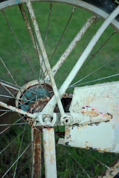 Rueda de bicicleta vieja sobre un fondo verde . —  Fotos de Stock