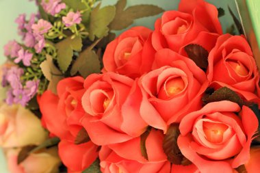 Kılık kırmızı gül sepeti parkta.